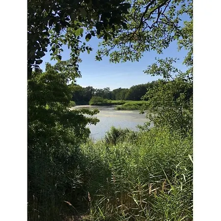 In With Swimming Pool