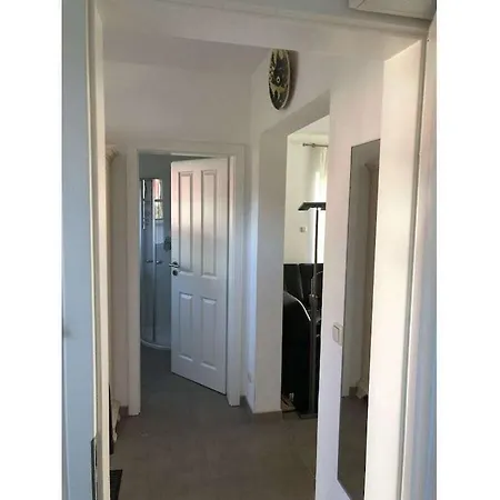 In With Swimming Pool *