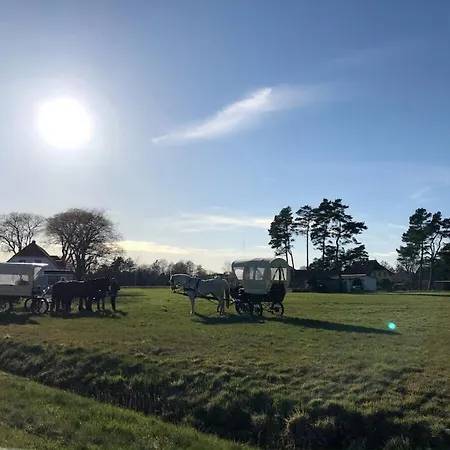 In With Swimming Pool Prerow